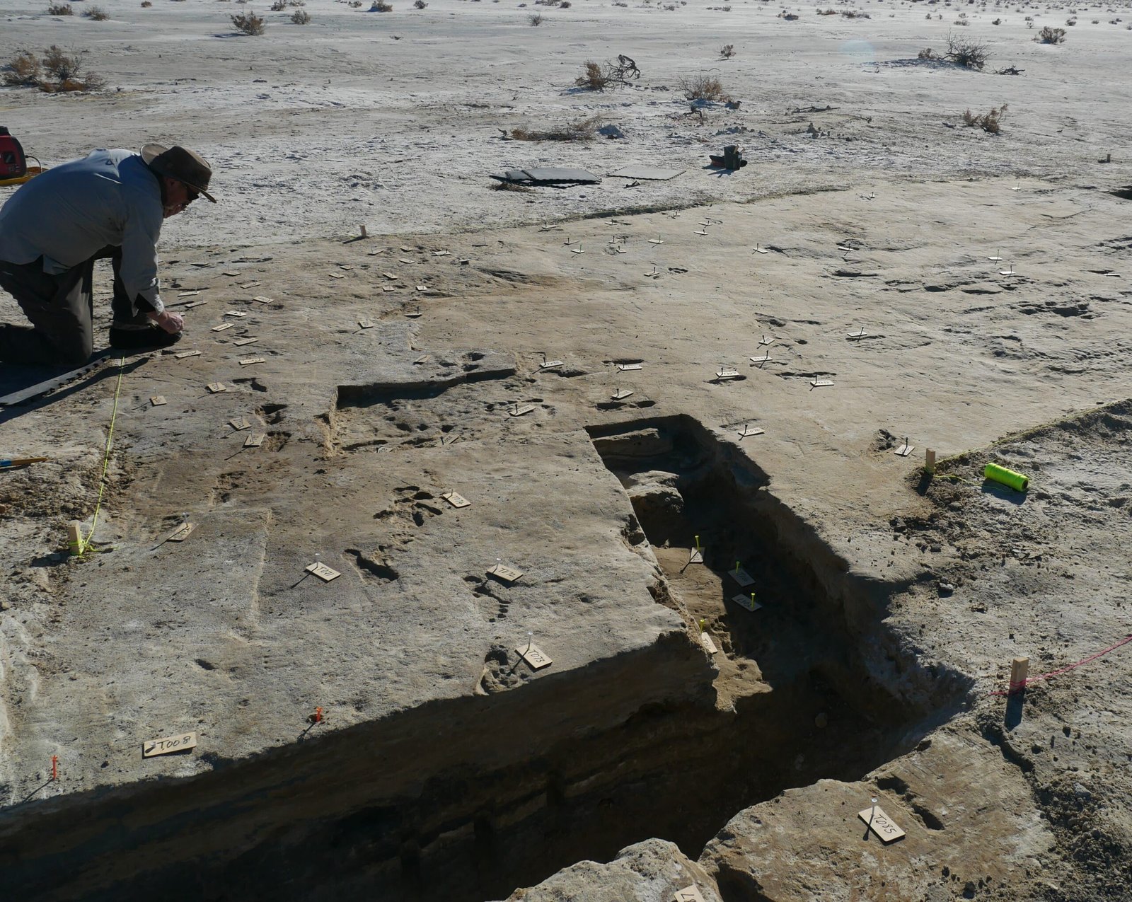 The Ice Age Puzzle: How Did They Get There? (image credits: NPGallery, Public domain, https://commons.wikimedia.org/w/index.php?curid=135946109)