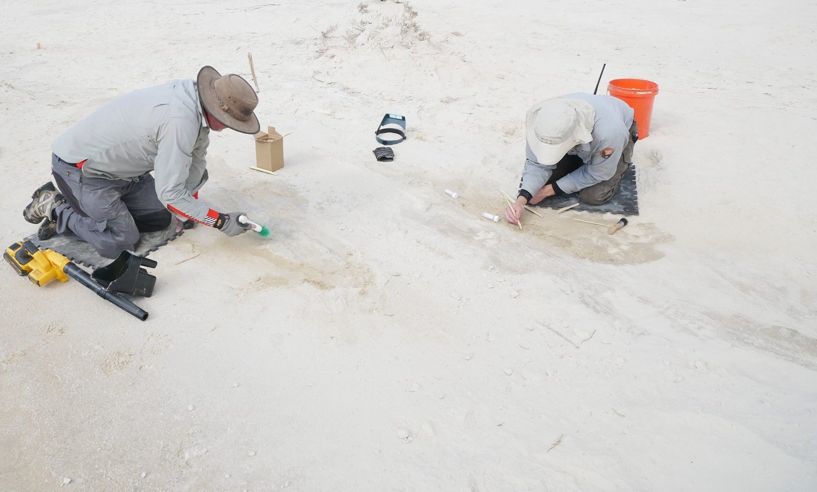 Preservation Miracle: Why These Tracks Survived (image credits: NPGallery, Public domain, https://commons.wikimedia.org/w/index.php?curid=135954226)