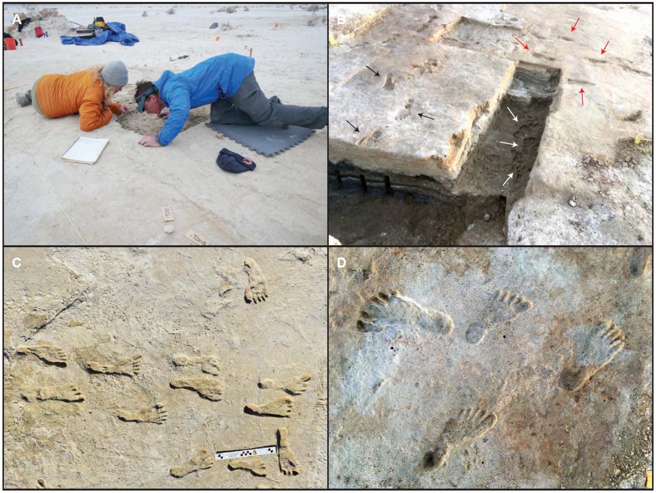Technology Meets Archaeology: Modern Methods Reveal Ancient Secrets (image credits: By United States Geological Survey, Public domain, https://commons.wikimedia.org/w/index.php?curid=117243697)