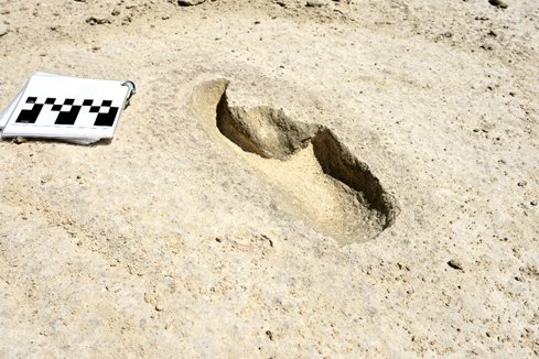 The "Ghost Tracks" of White Sands: 23,000-Year-Old Footprints Rewrite Human History