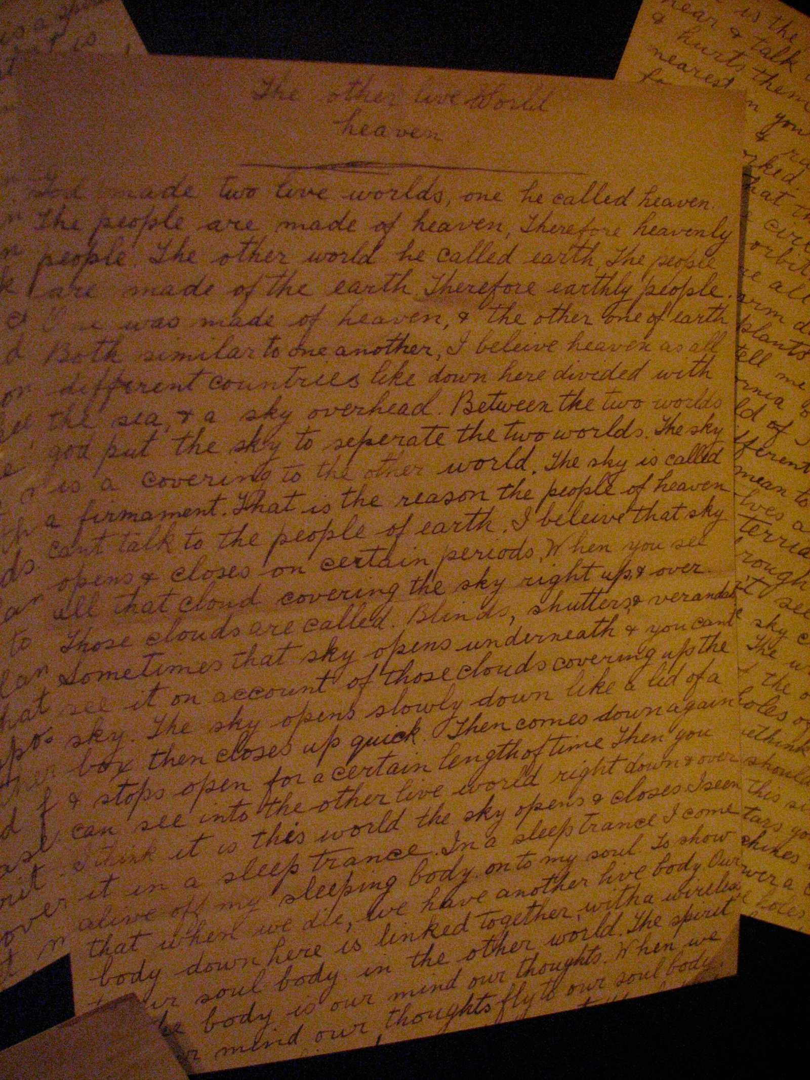 The Puzzle of Documentation and Authenticity (image credits: The Museum of Jurassic Technology, CC BY-SA 2.0, https://commons.wikimedia.org/w/index.php?curid=64305426)