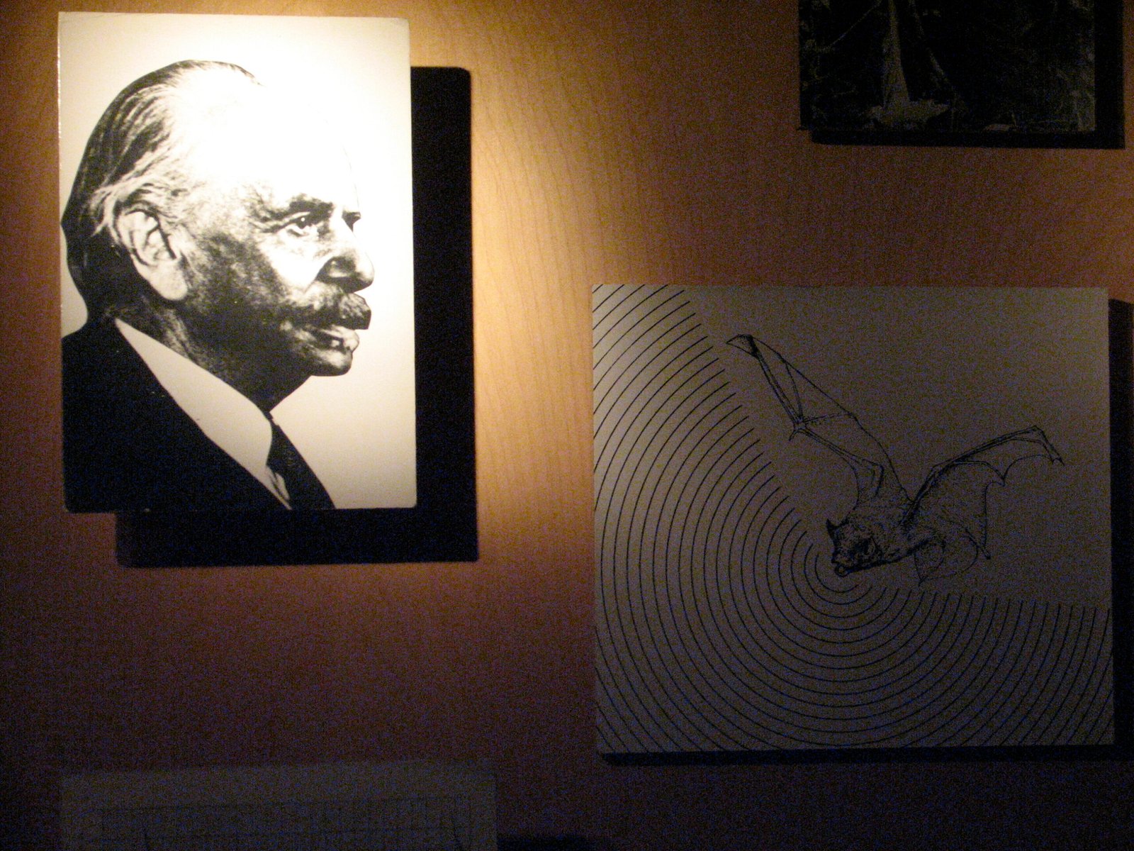Wilson's Philosophy of Wonder and Doubt (image credits: The Museum of Jurassic Technology, CC BY-SA 2.0, https://commons.wikimedia.org/w/index.php?curid=64305436)