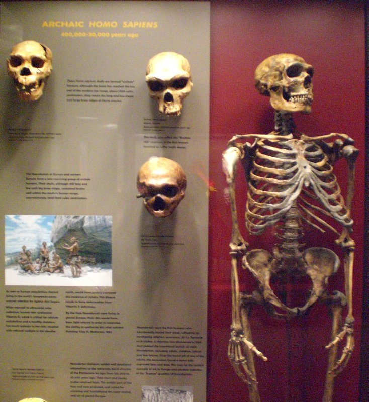 Biological Evidence of Advanced Prehistoric Humans (image credits: wikimedia)