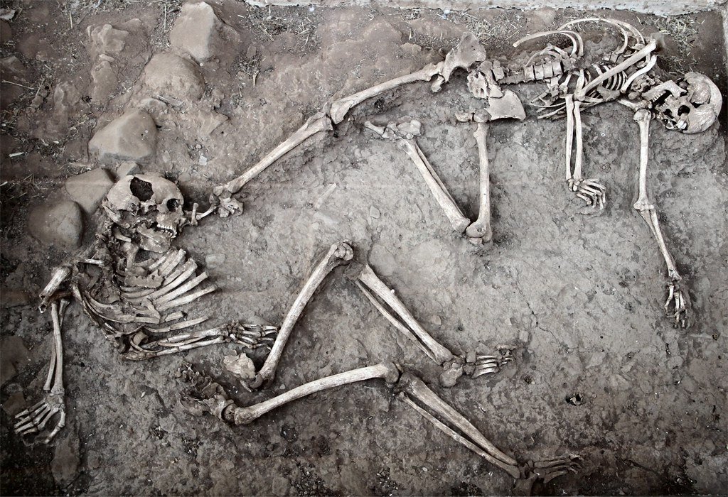 Genetic Evidence of Ancient Trauma (image credits: flickr)