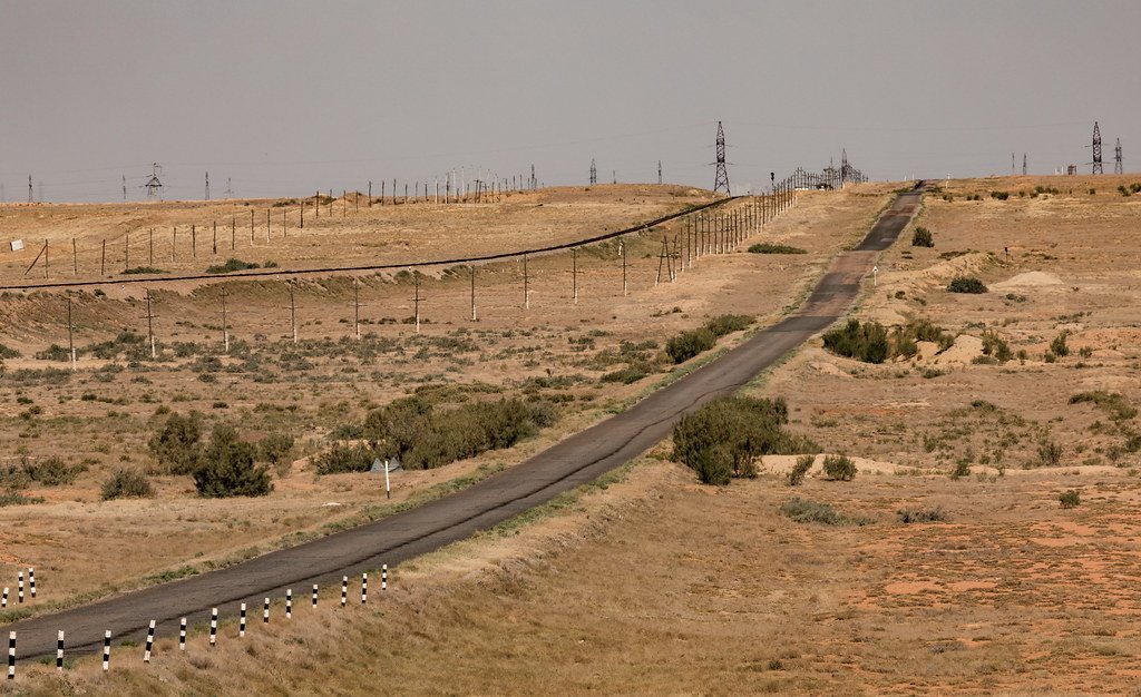 Environmental Impact and Conservation (image credits: flickr)