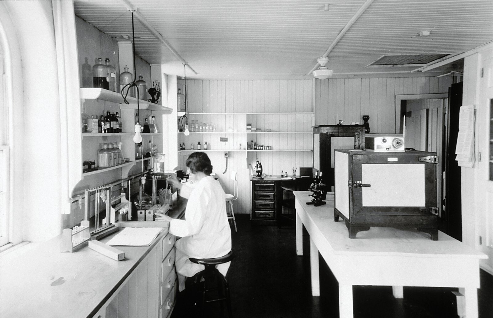 Fighting Prejudice in the Laboratory (image credits: wikimedia)