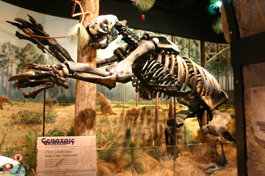 Giant Ground Sloths: Slow and Steady Resurrection (image credits: flickr)