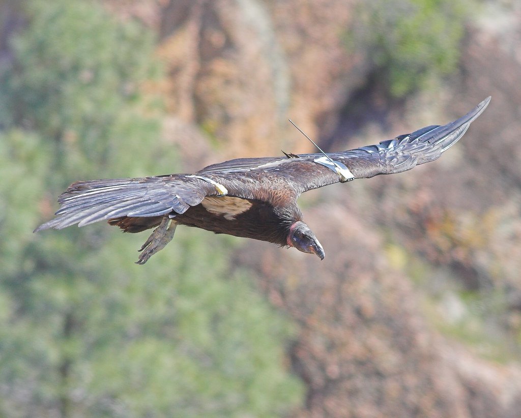 What This Means for Tomorrow (image credits: flickr)