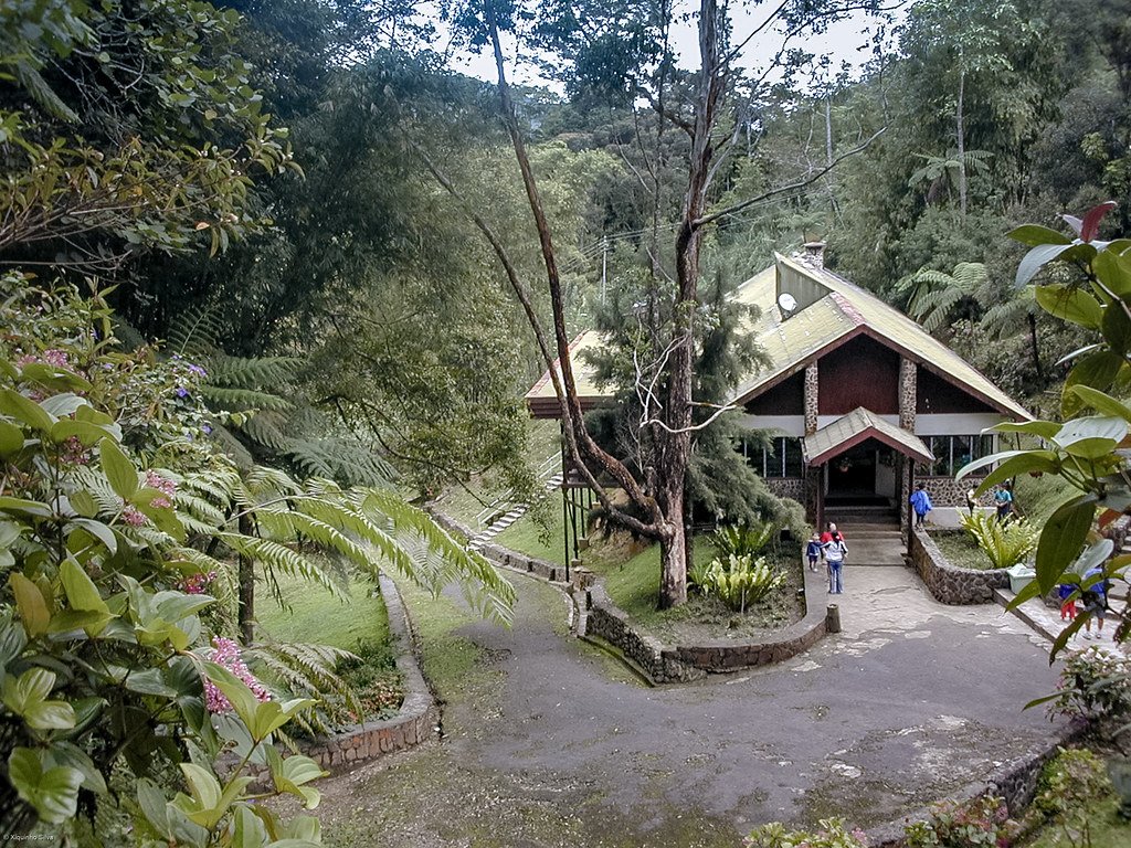 The Future of Kinabalu's Biodiversity (image credits: flickr)