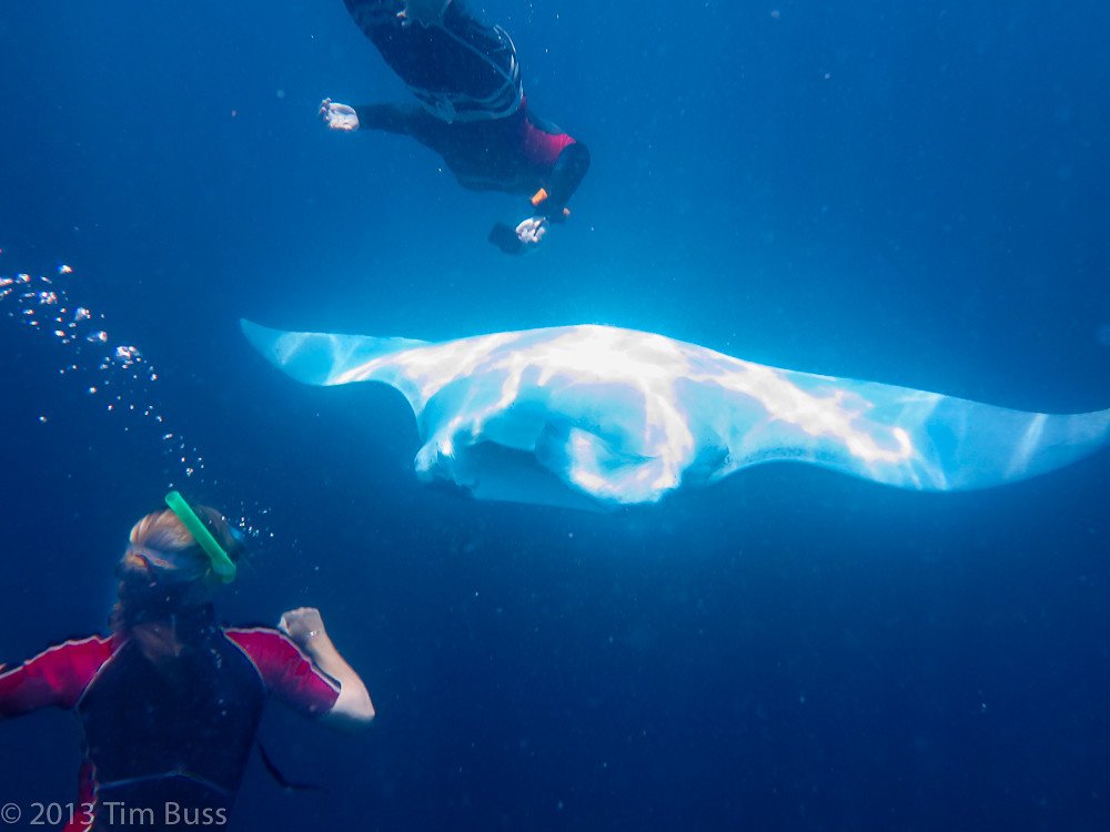 Individual Personalities Shine Through (image credits: flickr)