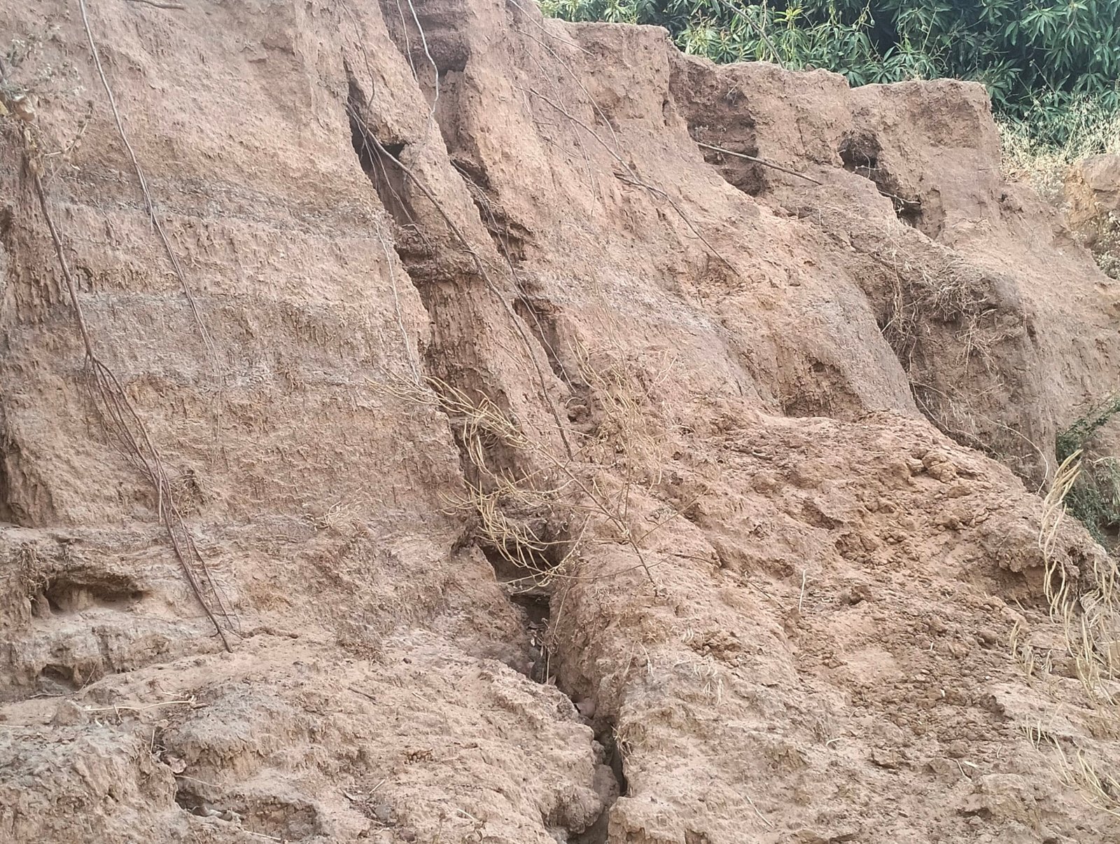 The Hidden Power Behind Mountain Erosion (image credits: wikimedia)