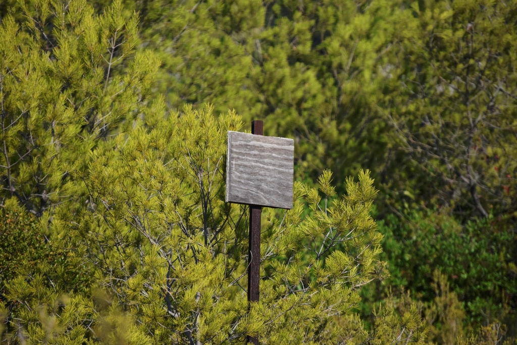 Chemical Messages That Save Lives (image credits: rawpixel)