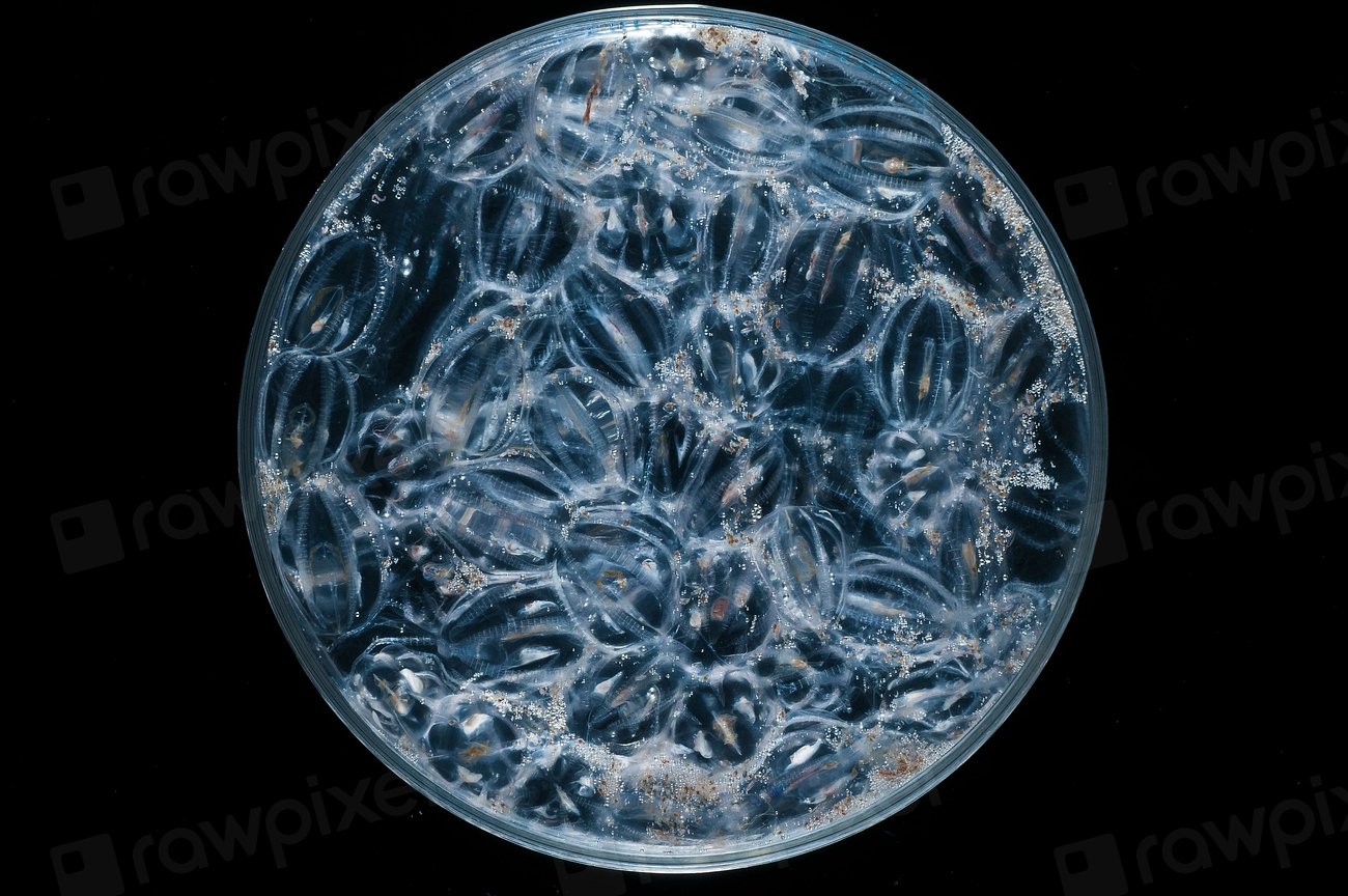 Your Connection to Ocean Breath (image credits: rawpixel)