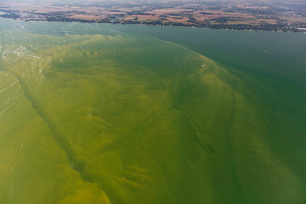 The Rise of Earth's First Polluters (image credits: flickr)