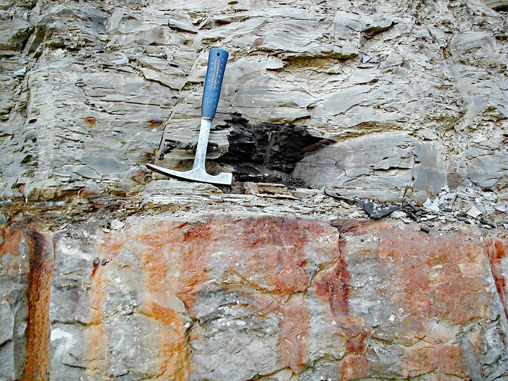 Lessons from the Ultimate Environmental Crisis (image credits: flickr)