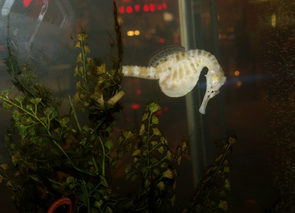 The Incredible Transformation Inside (image credits: wikimedia)