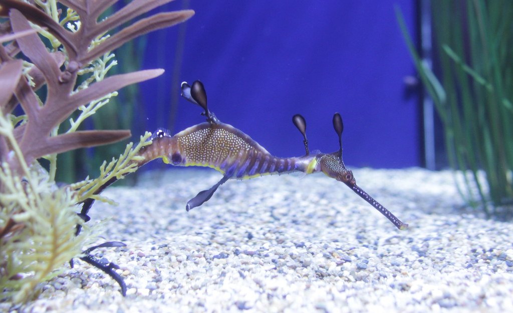 Nurturing Beyond Birth (image credits: flickr)