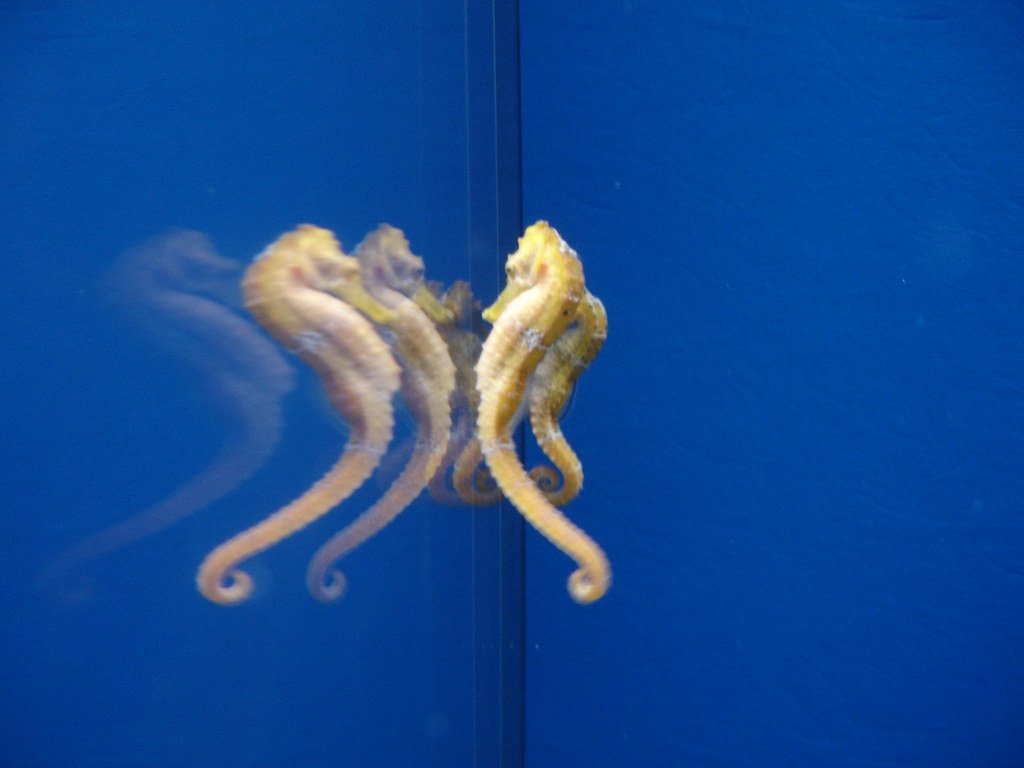 Conclusion (image credits: flickr)