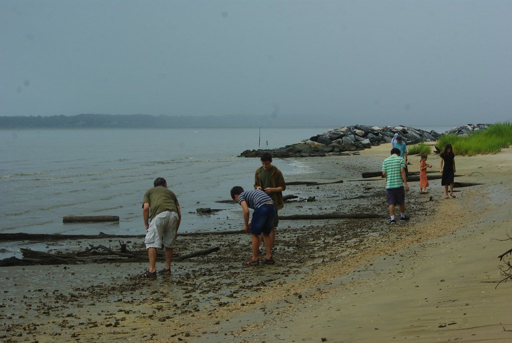 Citizen Science and Trackway Discovery (image credits: flickr)