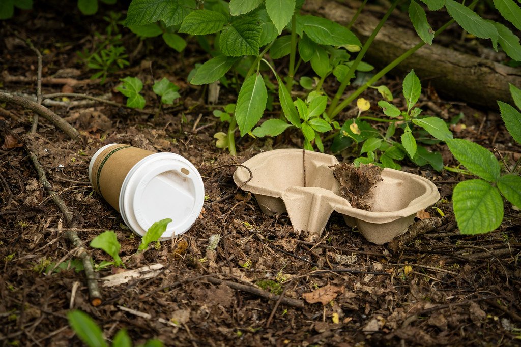 Food Packaging: The Freshness Challenge (image credits: flickr)