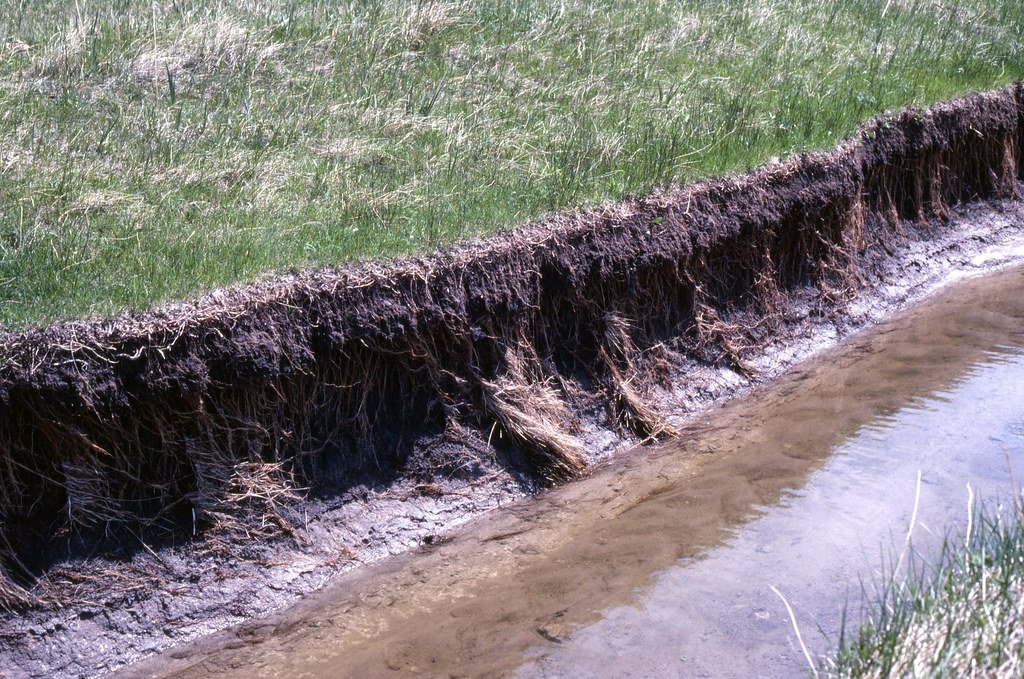 The Modern Soil Crisis Hiding in Plain Sight (image credits: flickr)