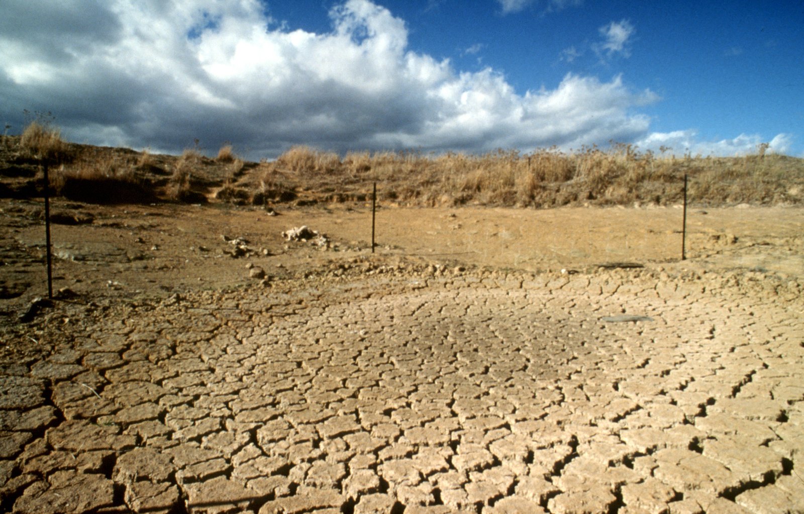 Climate Change: The New Wild Card (image credits: wikimedia)