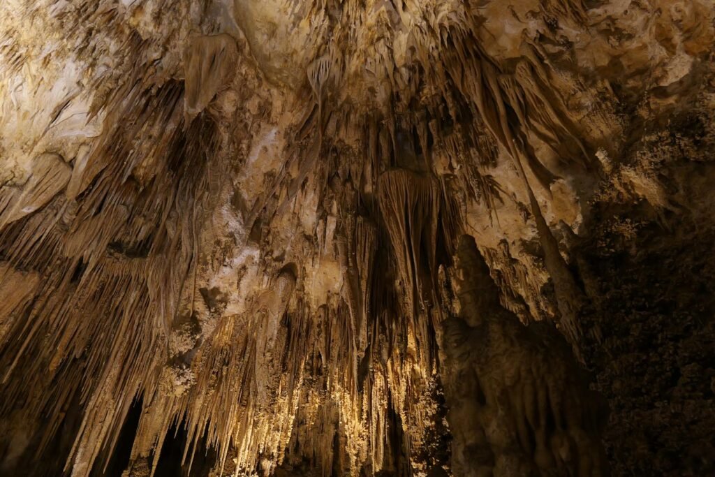 Explore the mesmerizing stalactites within Carlsbad Caverns National Park's iconic caves.
