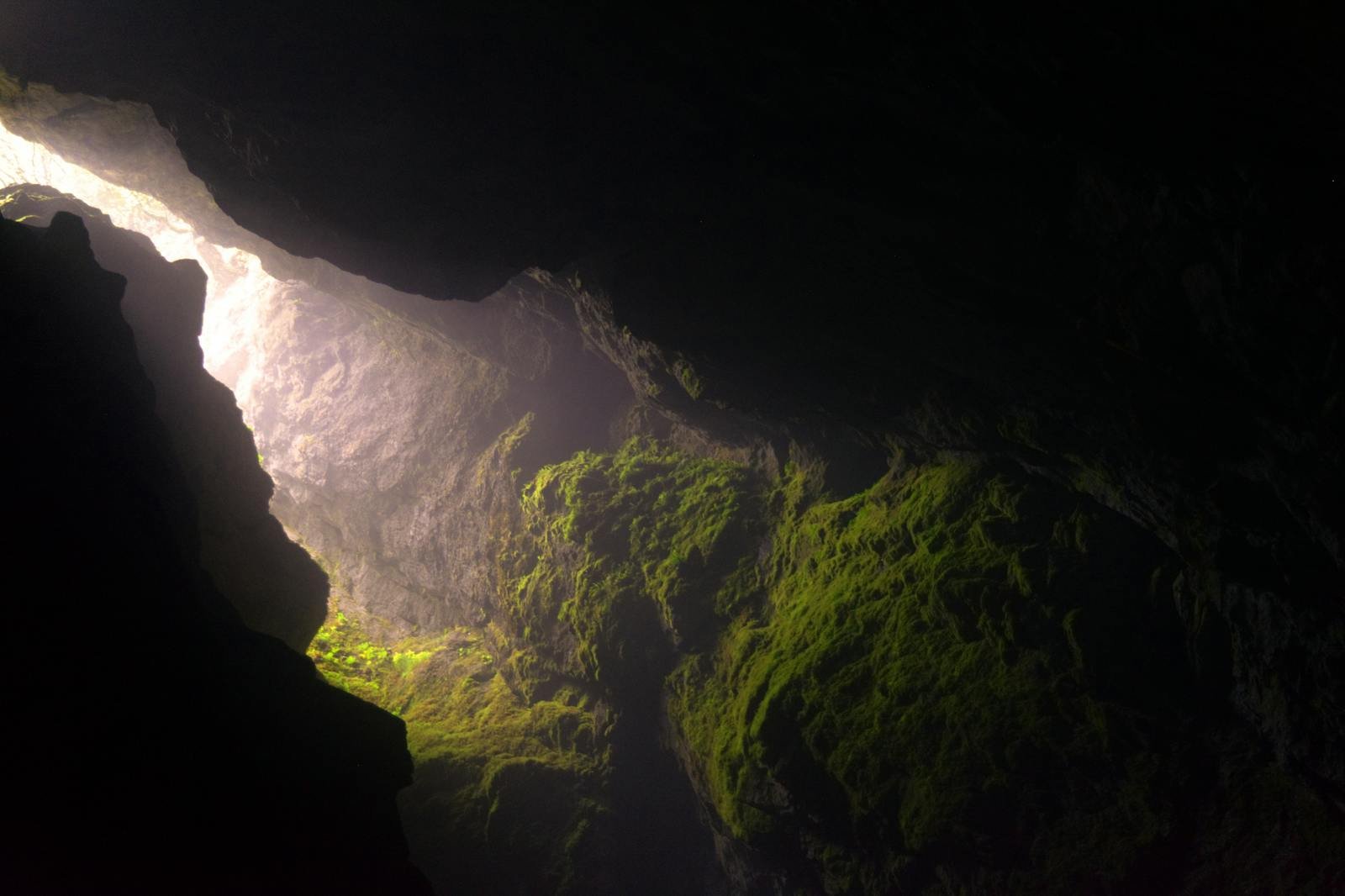 The Subterranean Biosphere: Life Thriving Miles Beneath Our Feet