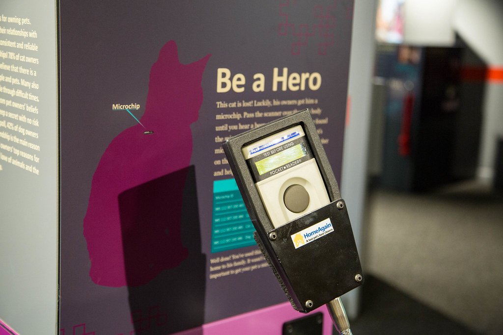 Why Microchipping Your Pet Matters – And How It Helps Wildlife, Too