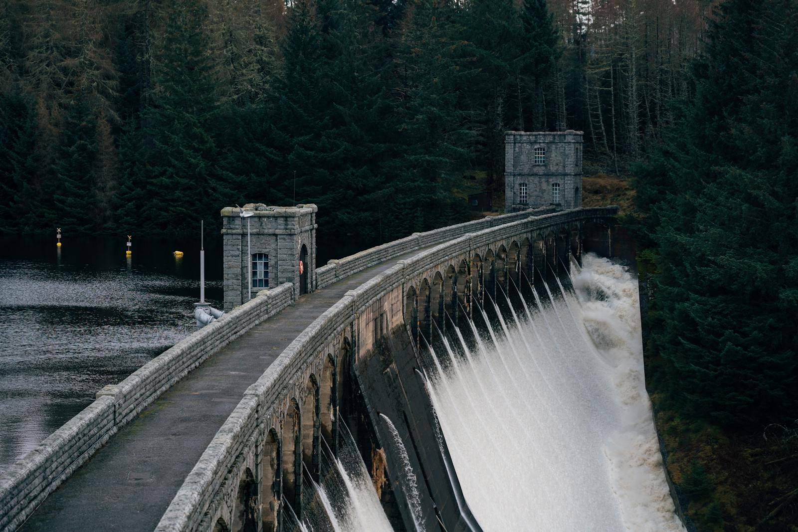 The Return of Beavers to the UK: Ecosystem Engineers or Dam Nuisances?