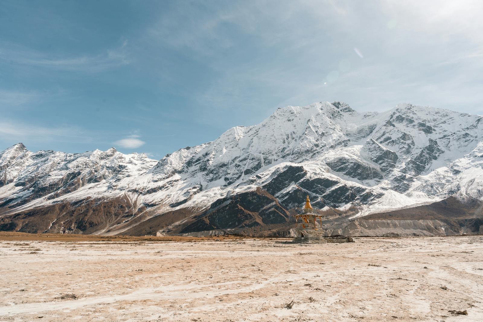 The Secret Life of Plants on the Roof of the World: Himalayan Oddities