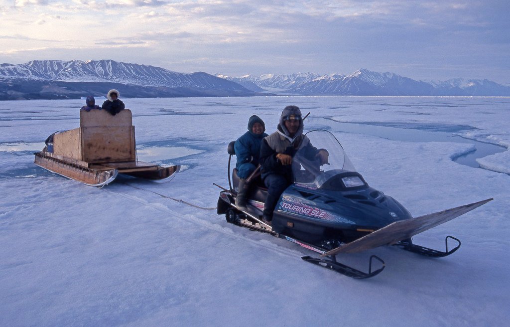 The Future of Seal Hunting