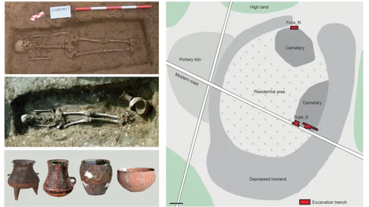 The Stone Age site of Fujia in eastern China produced two cemeteries and pottery