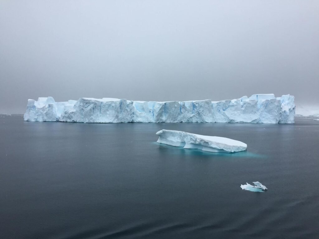 A serene view of sprawling icebergs floating in calm arctic waters under a cloudy sky.