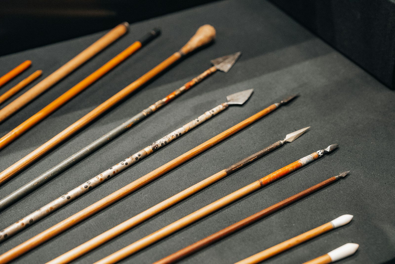 70,000 Year Old Bison Bone Weapon? Neanderthals Intelligence Stuns Archaeologists