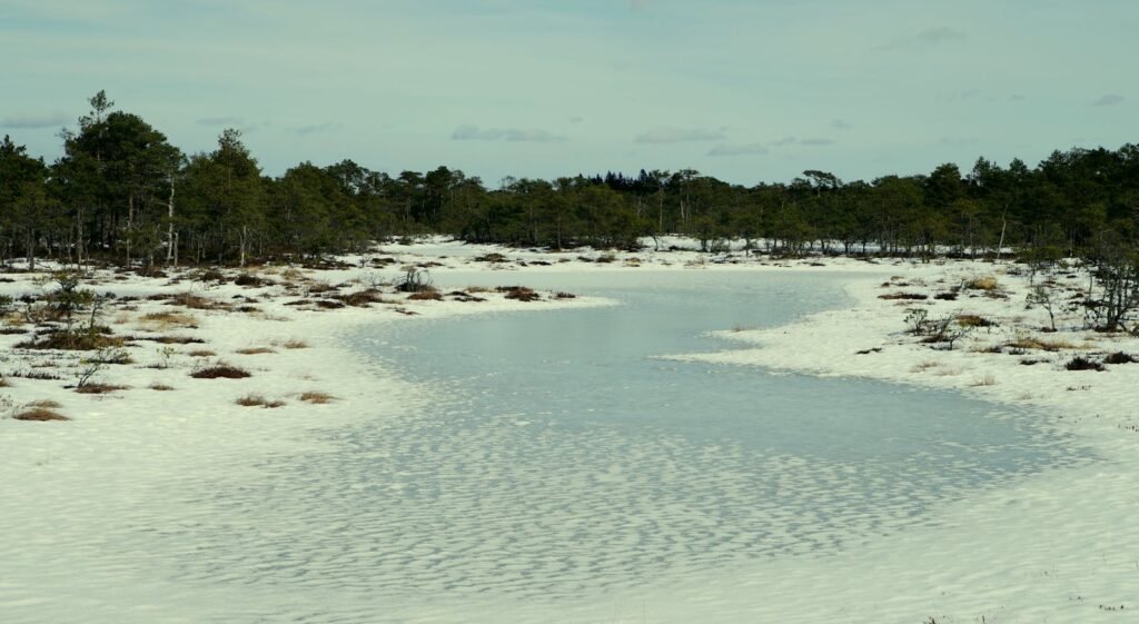 Scenic winter view of a snowy landscape and river in Vihtra, Estonia.