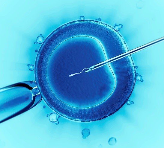 What If You Could Have Babies from Your Skin Cells? The Surprising Science Behind IVF Eggs