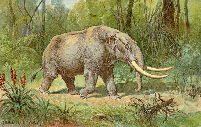 Mastodon illustration