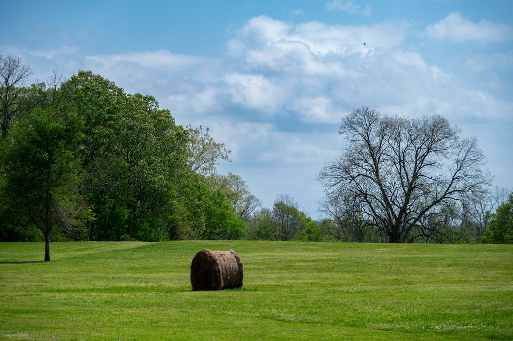 Poverty Point.