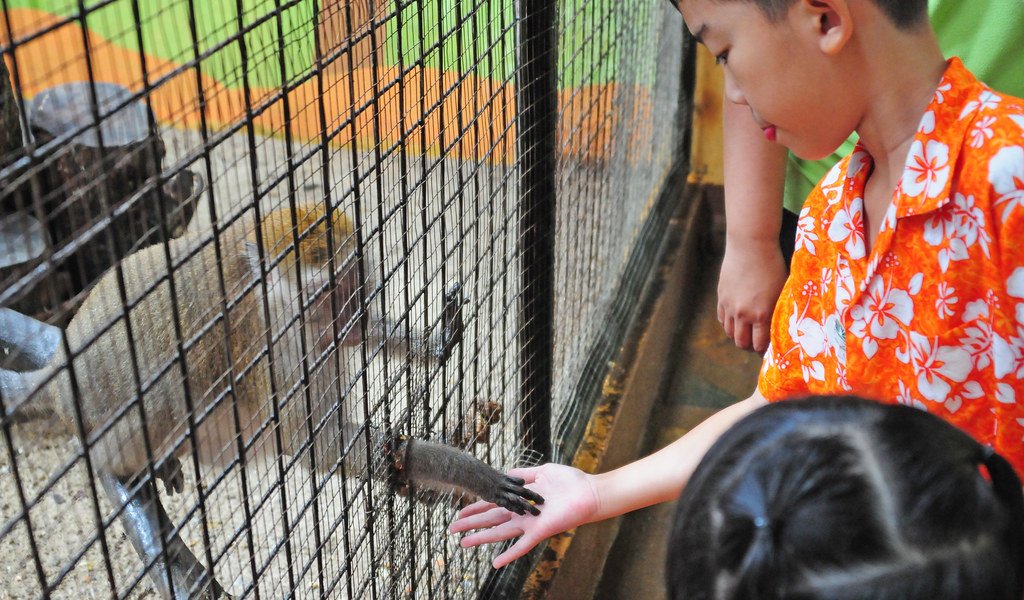 Langkawi Wildlife Park.