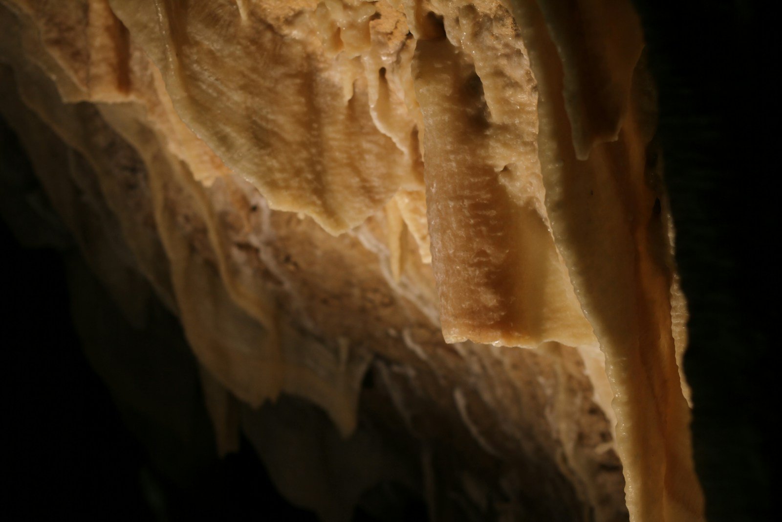 Cave Secrets: The Bizarre Bacteria Living Deep Inside Carlsbad Caverns