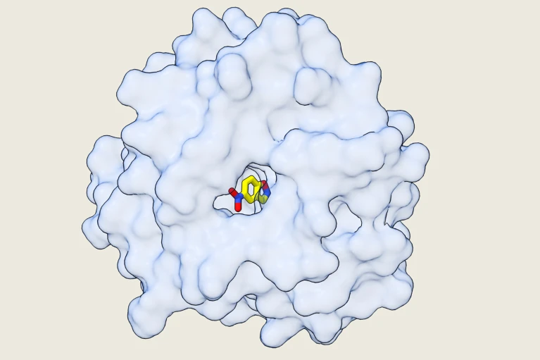 new enzyme