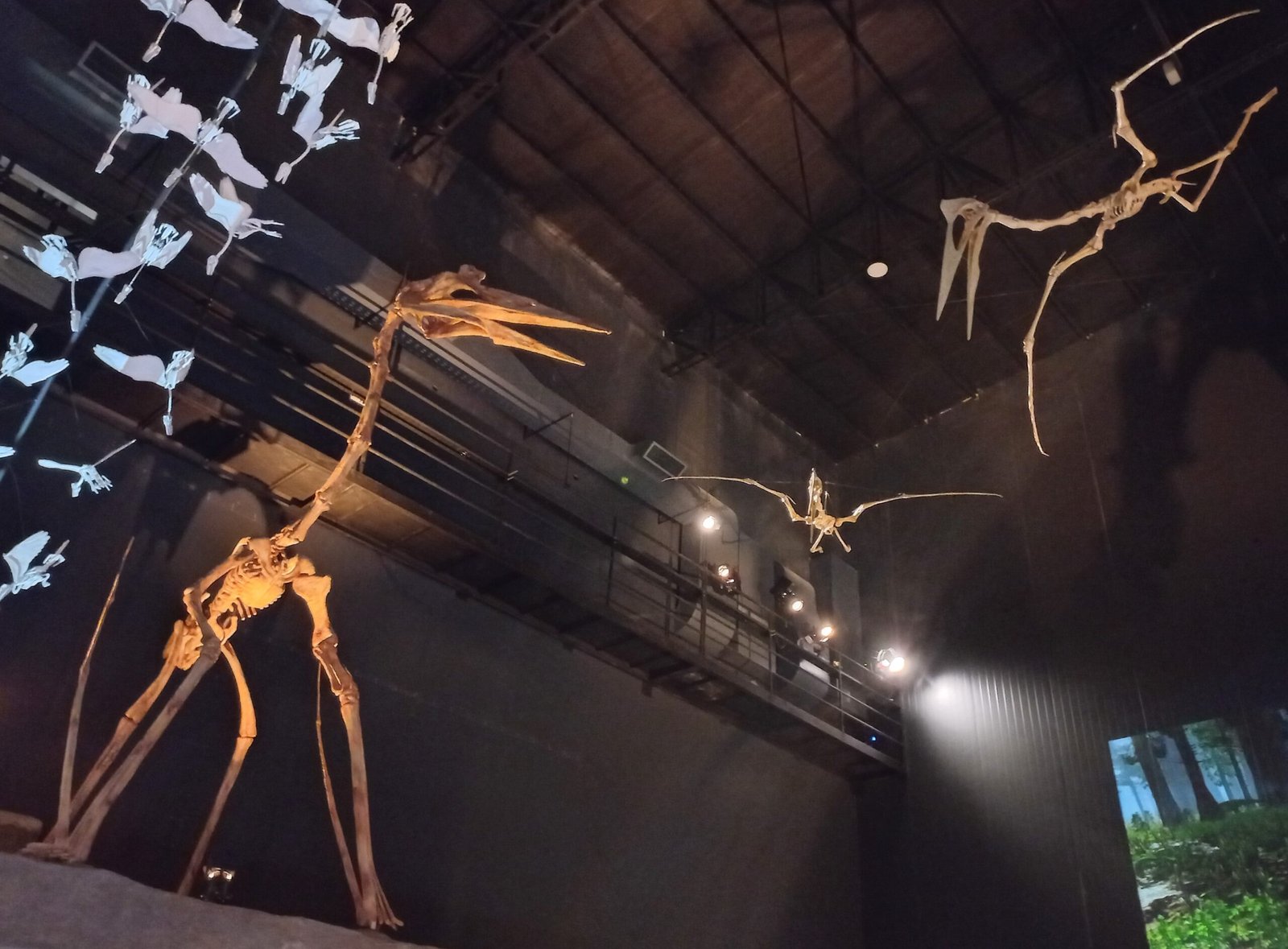 The “Dragon of Death”: 100-Million-Year-Old Giant Found in Argentina