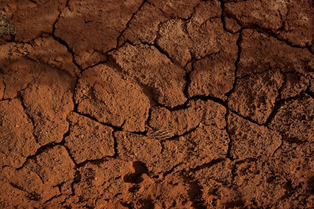 brown concrete brick wall during daytime