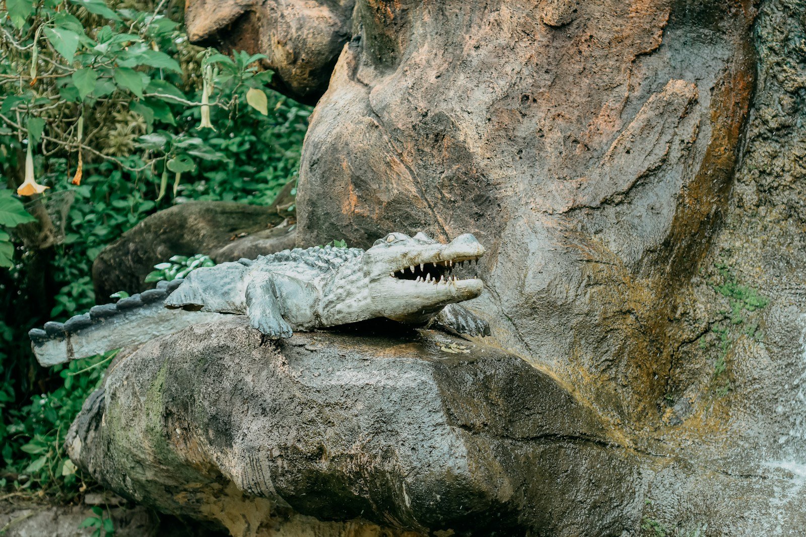 Can Crocodiles Climb Trees? (Spoiler: Yes, and Here’s Why)