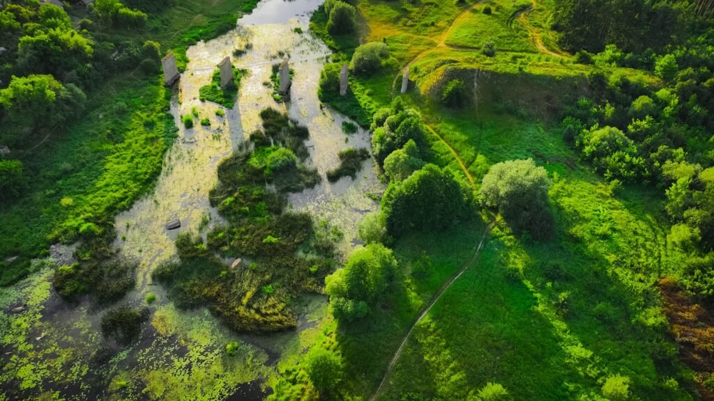 a river with a small waterfall