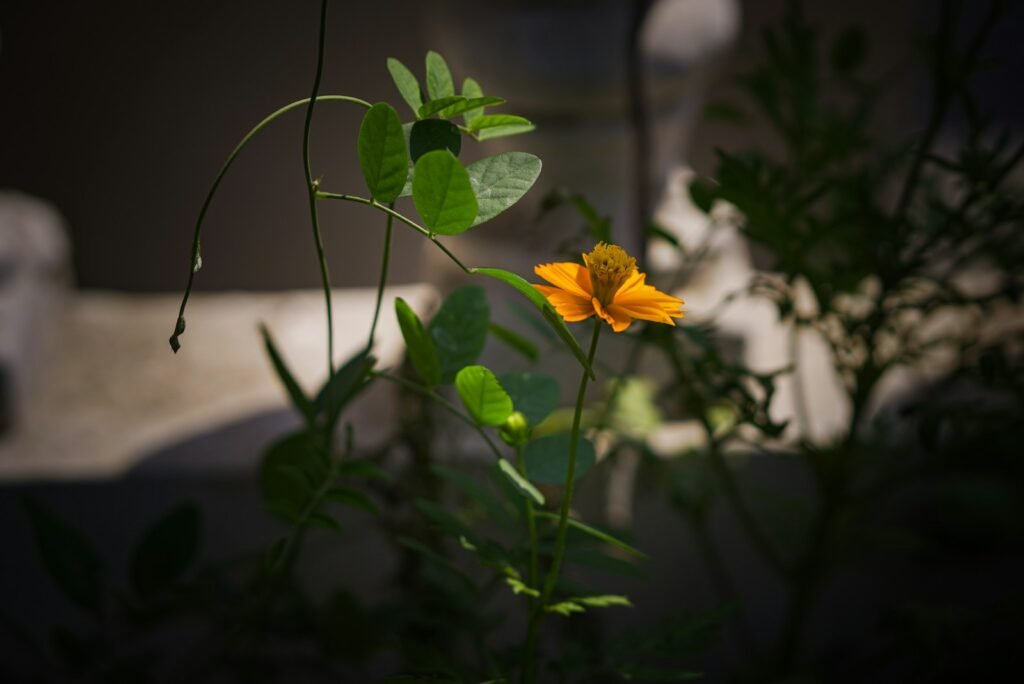 a yellow flower is in the middle of some green leaves