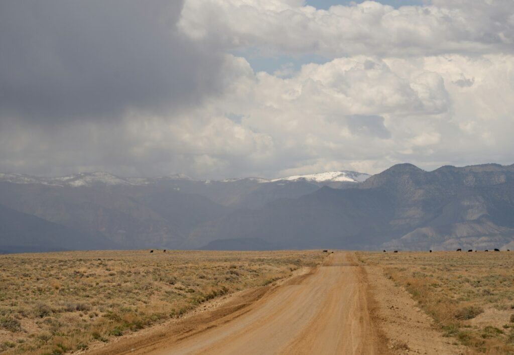 A dirt road with mountains in the background.
