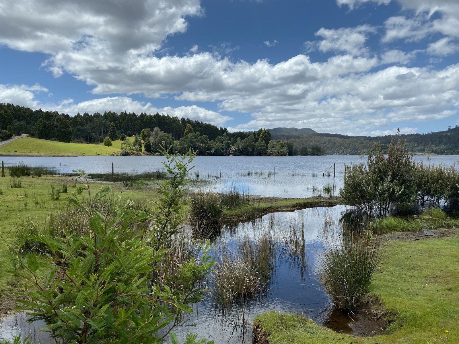 Hobart’s Jurassic Past: When Tasmania Was Home to Giant Ferns and Reptiles