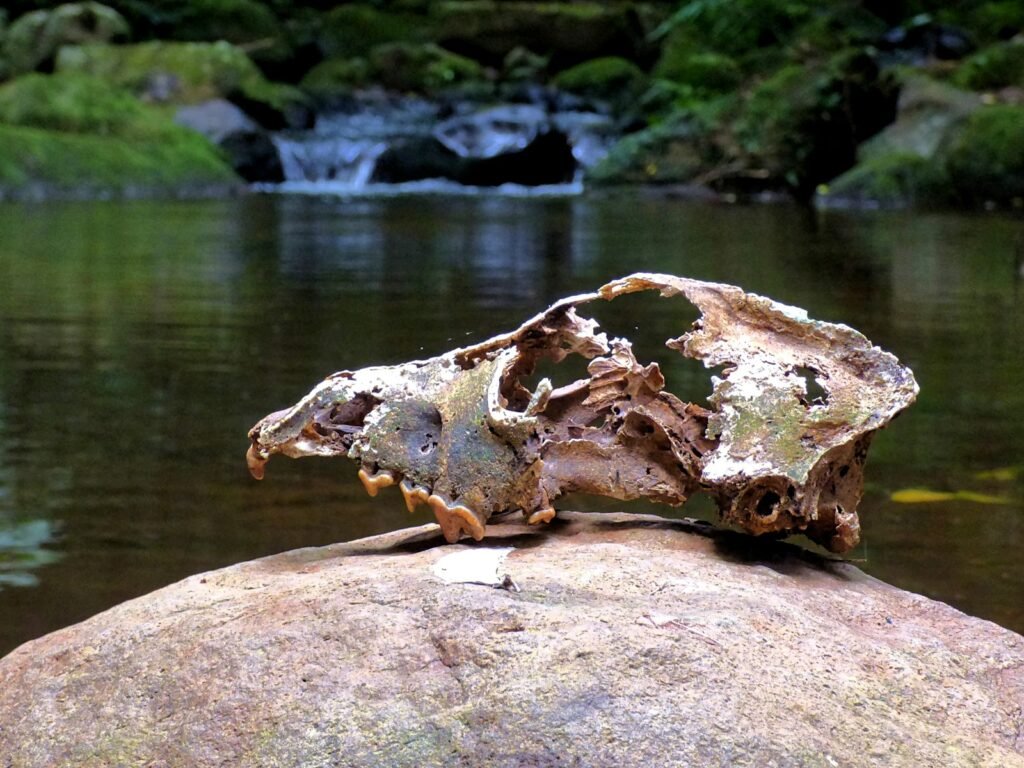 a piece of metal sitting on top of a rock